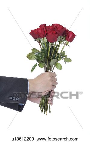Stock Photo - Man's hands holding a bouquet of red roses. Fotosearch