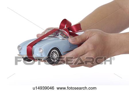 Stock Photograph - Man's hands holding a toy car with red bowknot. Fotosearch