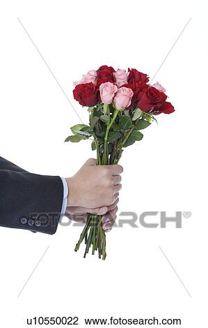 Man's hands holding bouquet of roses View Large Photo Image Stock Image - Man's hands holding bouquet of roses. Fotosearch