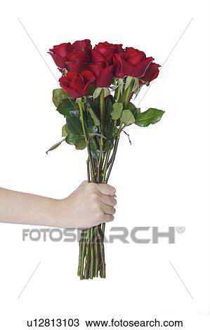 Stock Image - Woman's hand holding a bouquet of red roses. Fotosearch