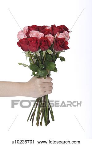 Stock Image - Woman's hand holding bouquet of roses. Fotosearch