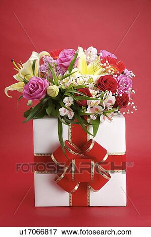 Close-up of a bouquet on a present View Large Photo Image Stock Photo - Close-up of a bouquet on a present. Fotosearch
