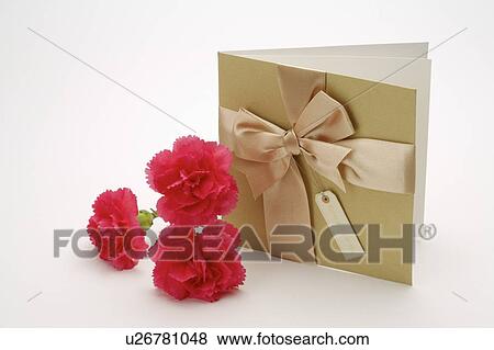 Stock Photo - Close-up of a card with bowknot and three carnations. Fotosearch