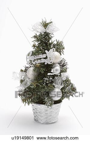 Close-up of a decoration of Christmas tree View Large Photo Image Stock Image - Close-up of a decoration of Christmas tree. Fotosearch