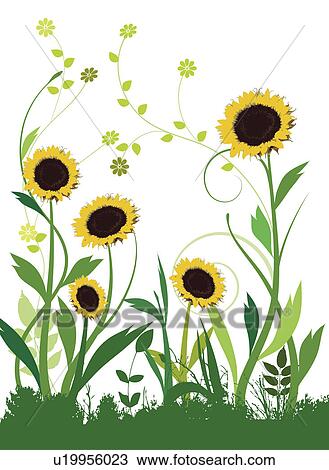 Illustration and painting of sunflowers with green leaves View Large Photo Image Stock Image - Illustration and painting of sunflowers with green leaves. Fotosearch
