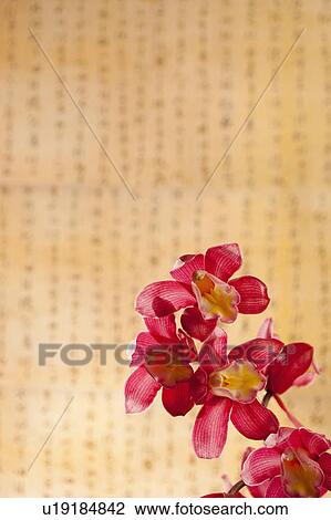 Close-up of flowers with calligraphy in background View Large Photo Image Stock Image - Close-up of flowers with calligraphy in background. Fotosearch