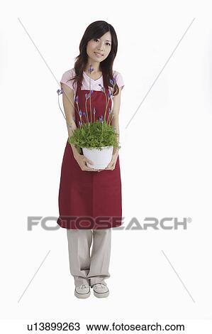 Stock Image - Young female florist holding potted plant. Fotosearch