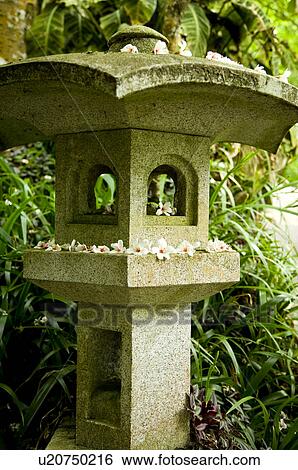 Stock Photograph - Taiwan, Miaoli County, Gong-Gwan, Tung Blossom, Paulownia, Tung Flower. Fotosearch