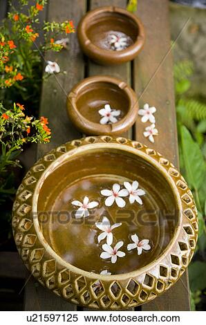 Stock Photography - Taiwan, Miaoli County, Gong-Gwan, Tung Blossom, Paulownia, Tung Flower. Fotosearch