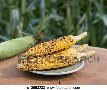 Stock Image - Baked Corn, Field,. Fotosearch