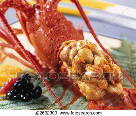 Baked Spiny Lobster And Sea Urchin View Large Photo Image Stock Image - Baked Spiny Lobster And Sea Urchin. Fotosearch