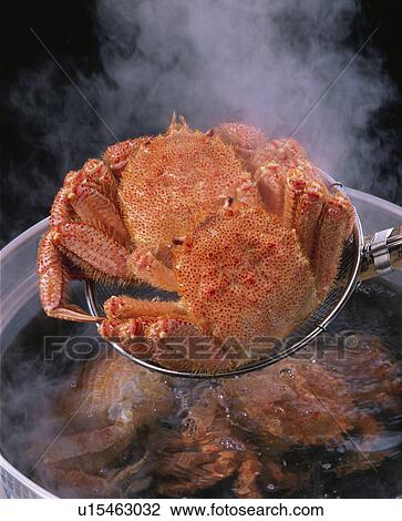Stock Image - Boiled Hairy Crab. Fotosearch