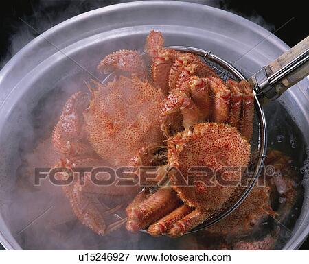 Boiled Hairy Crab View Large Photo Image Stock Photo - Boiled Hairy Crab. Fotosearch