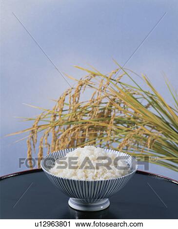 Boiled Rice View Large Photo Image Stock Image - Boiled Rice. Fotosearch