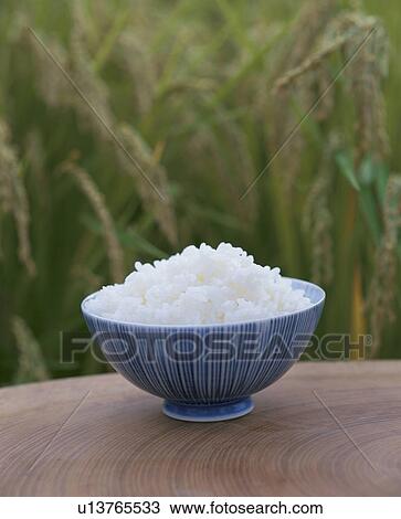 Boiled Rice View Large Photo Image Stock Image - Boiled Rice. Fotosearch