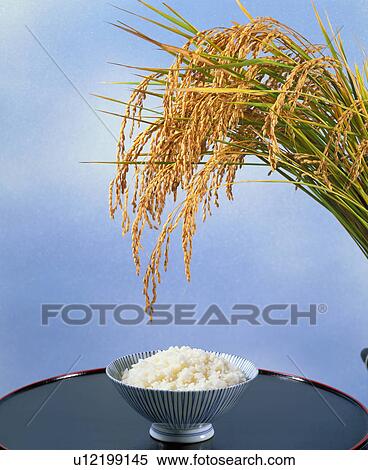 Boiled Rice View Large Photo Image Stock Photography - Boiled Rice. Fotosearch