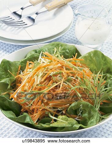 Stock Photography - Carrot Salad. Fotosearch