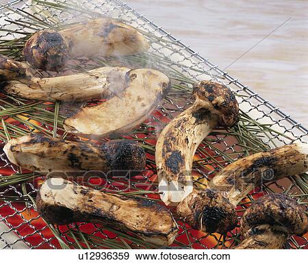 Charcoal Burner Of Matsutake View Large Photo Image Stock Photo - Charcoal Burner Of Matsutake. Fotosearch