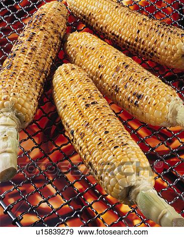 Stock Photo - Charcoal Grilled Corn. Fotosearch