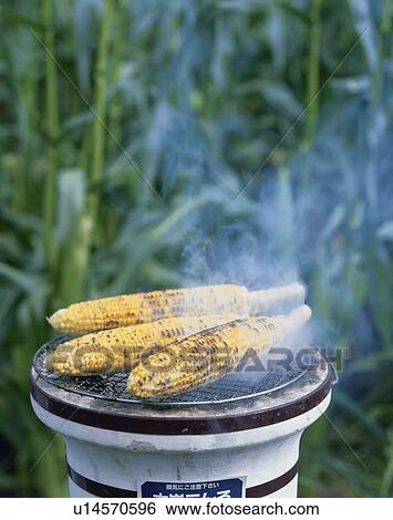 Charcoal Grilled Corn View Large Photo Image Stock Photograph - Charcoal Grilled Corn. Fotosearch