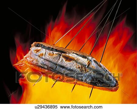 Stock Photography - Chopped Raw Bonito. Fotosearch