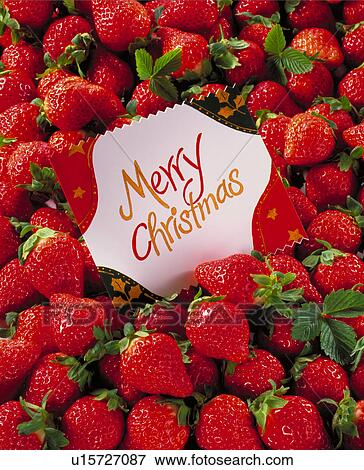 Christmas View Large Photo Image Stock Photo - Christmas. Fotosearch