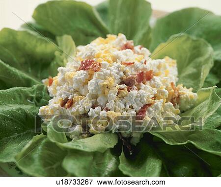 Stock Photo - Cottage Cheese Salad. Fotosearch