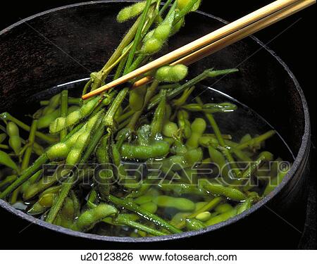 Edamame View Large Photo Image Stock Photograph - Edamame. Fotosearch