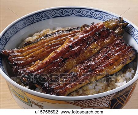 Eel Bowl View Large Photo Image Stock Image - Eel Bowl. Fotosearch