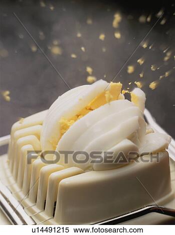 Stock Photography - Egg Cutter. Fotosearch