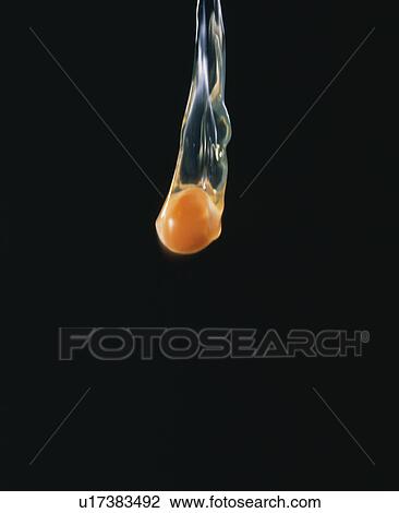 Stock Image - Egg Image. Fotosearch