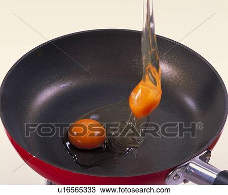Egg View Large Photo Image Stock Image - Egg. Fotosearch