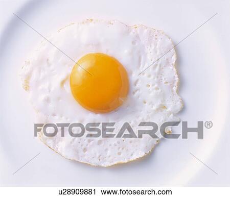 Fried Egg View Large Photo Image Stock Image - Fried Egg. Fotosearch