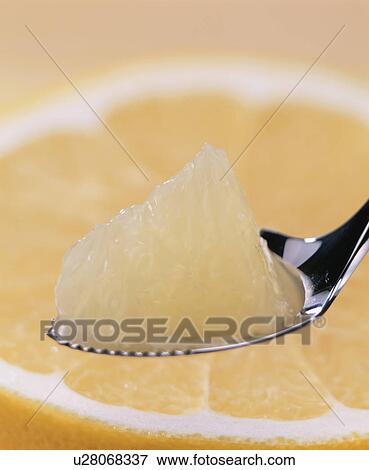 Grapefruit View Large Photo Image Stock Photo - Grapefruit. Fotosearch