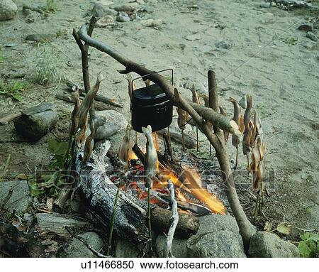 Grilled Char, Akita Prefecture View Large Photo Image Stock Image - Grilled Char, Akita Prefecture. Fotosearch