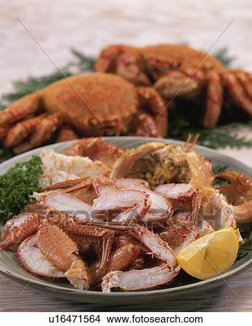 Picture - Hairy Crab. Fotosearch