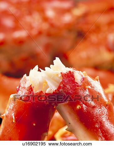 King Crab View Large Photo Image Stock Photography - King Crab. Fotosearch
