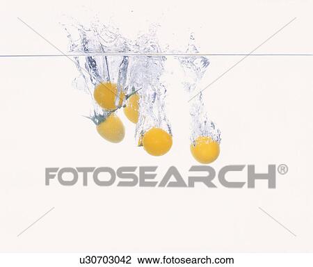 Lemon Tomato, Tank, View Large Photo Image Stock Image - Lemon Tomato, Tank,. Fotosearch