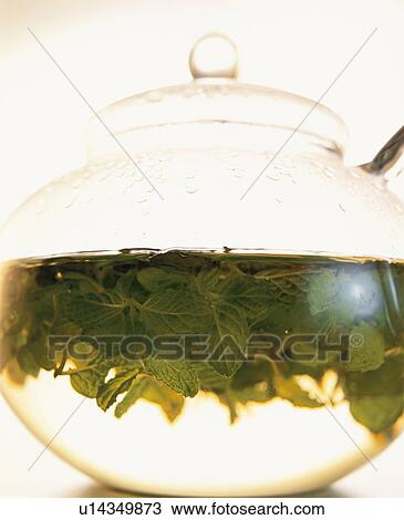Mint Tea View Large Photo Image Stock Image - Mint Tea. Fotosearch