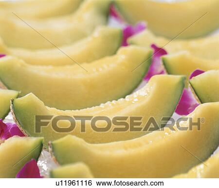 Muskmelon View Large Photo Image Stock Photograph - Muskmelon. Fotosearch