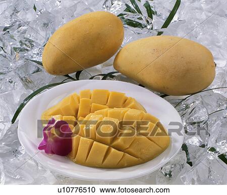 Stock Image - Pelican Mango. Fotosearch