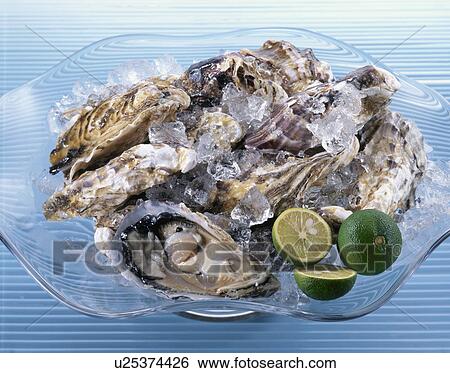 Raw Oyster View Large Photo Image Stock Photograph - Raw Oyster. Fotosearch