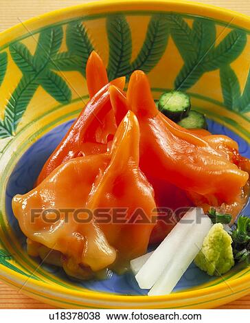 Stock Photo - Round Clam, Turning Body,. Fotosearch