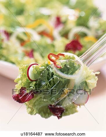 Stock Photo - Salad. Fotosearch
