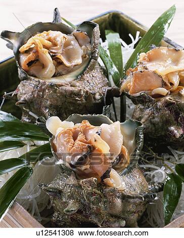 Stock Photo - Sashimi Of Top Shell. Fotosearch