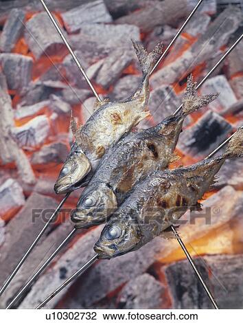 Stock Image - Scad Grilled With Salt. Fotosearch