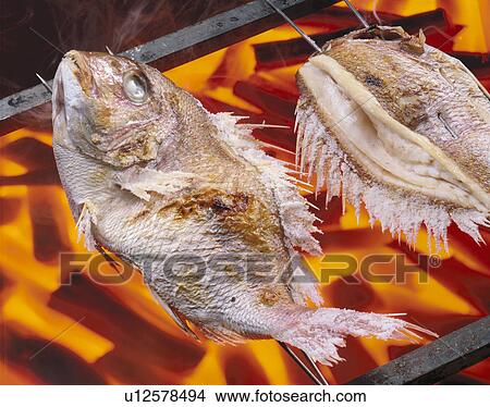 Picture - Sea Bream Grilled With Salt. Fotosearch