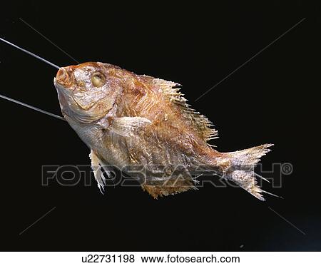 Stock Photo - Sea Bream Grilled With Salt. Fotosearch