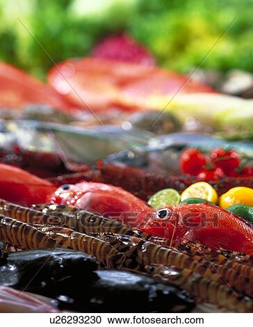 Stock Image - Sea Food Set. Fotosearch