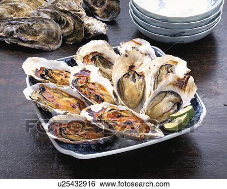Sea Urchin And Oyster View Large Photo Image Stock Photograph - Sea Urchin And Oyster. Fotosearch